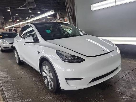 TESLA MODEL Y 2021 5YJYGDEE7MF213867 image
